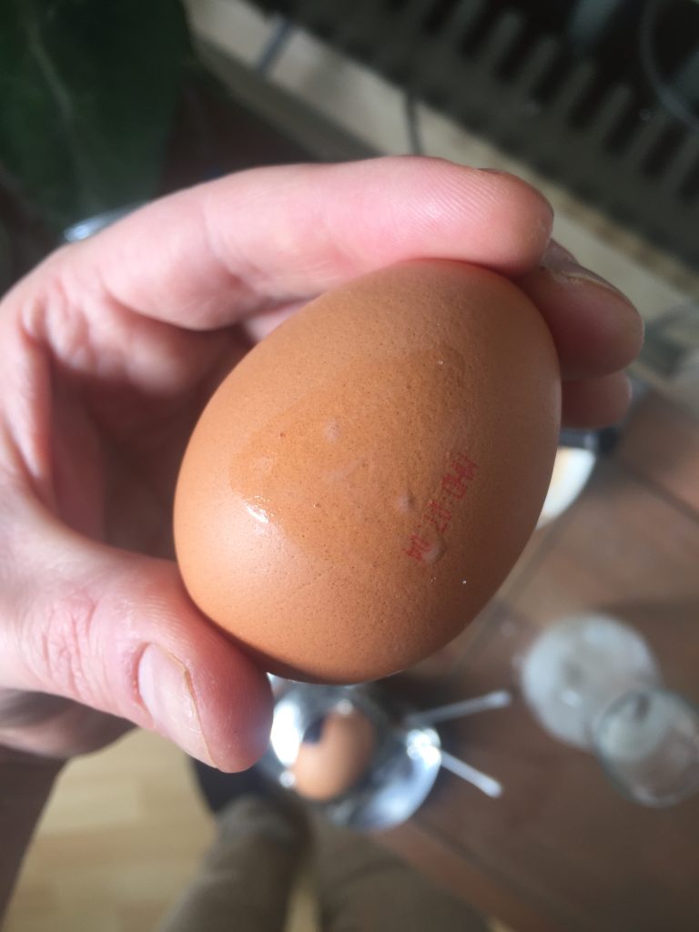 Photo of an egg with a nearly invisible triangle on the shell, painted with only alum and vinegar