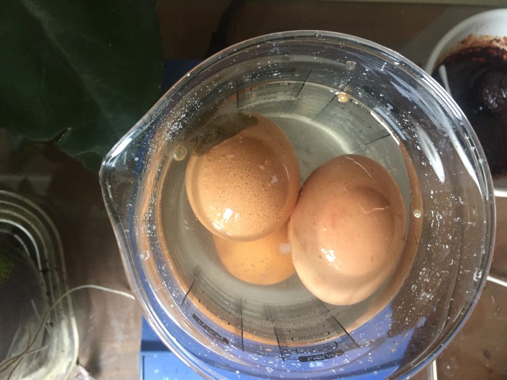Photo of eggs cooking in a measuring cup. For more precise information see the title of the image.