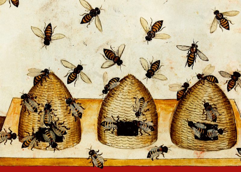 Drei Bienenstöcke mit fliegenden Bienen.